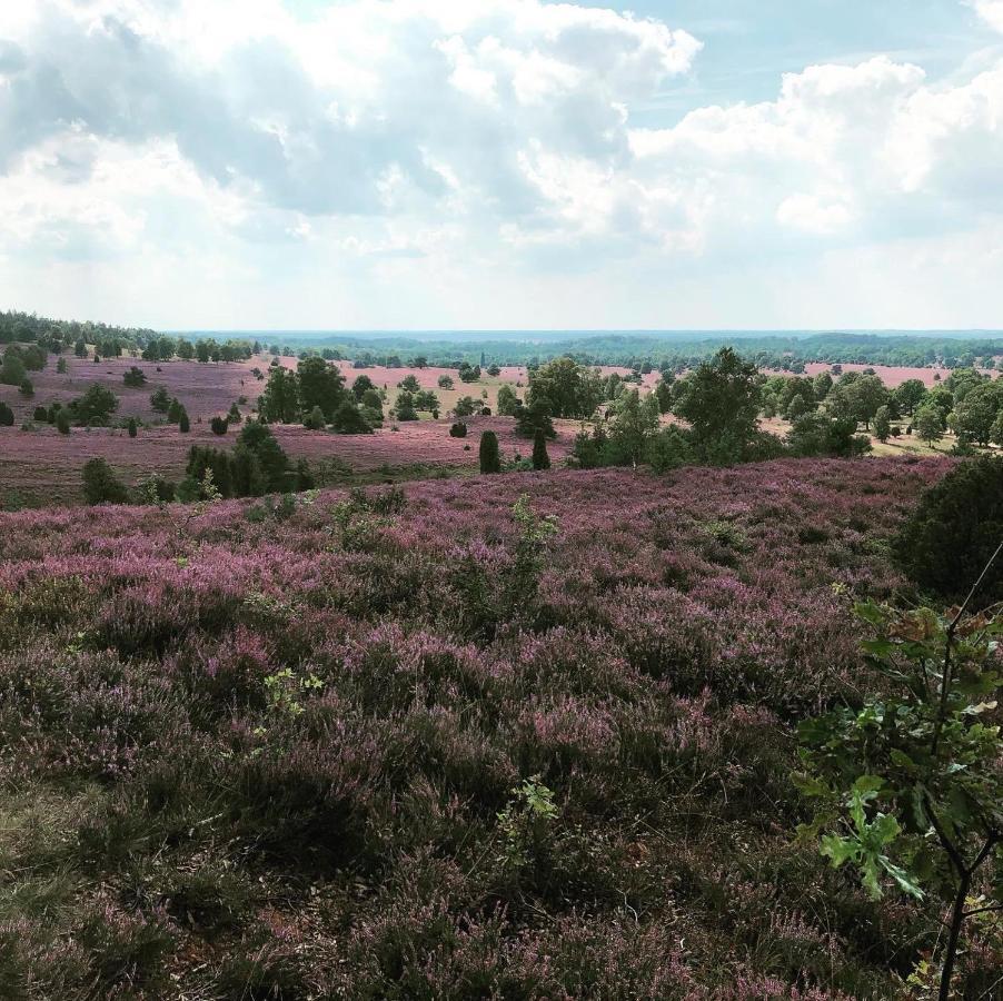 Ferienwohnung Heide View 비스핑엔 외부 사진