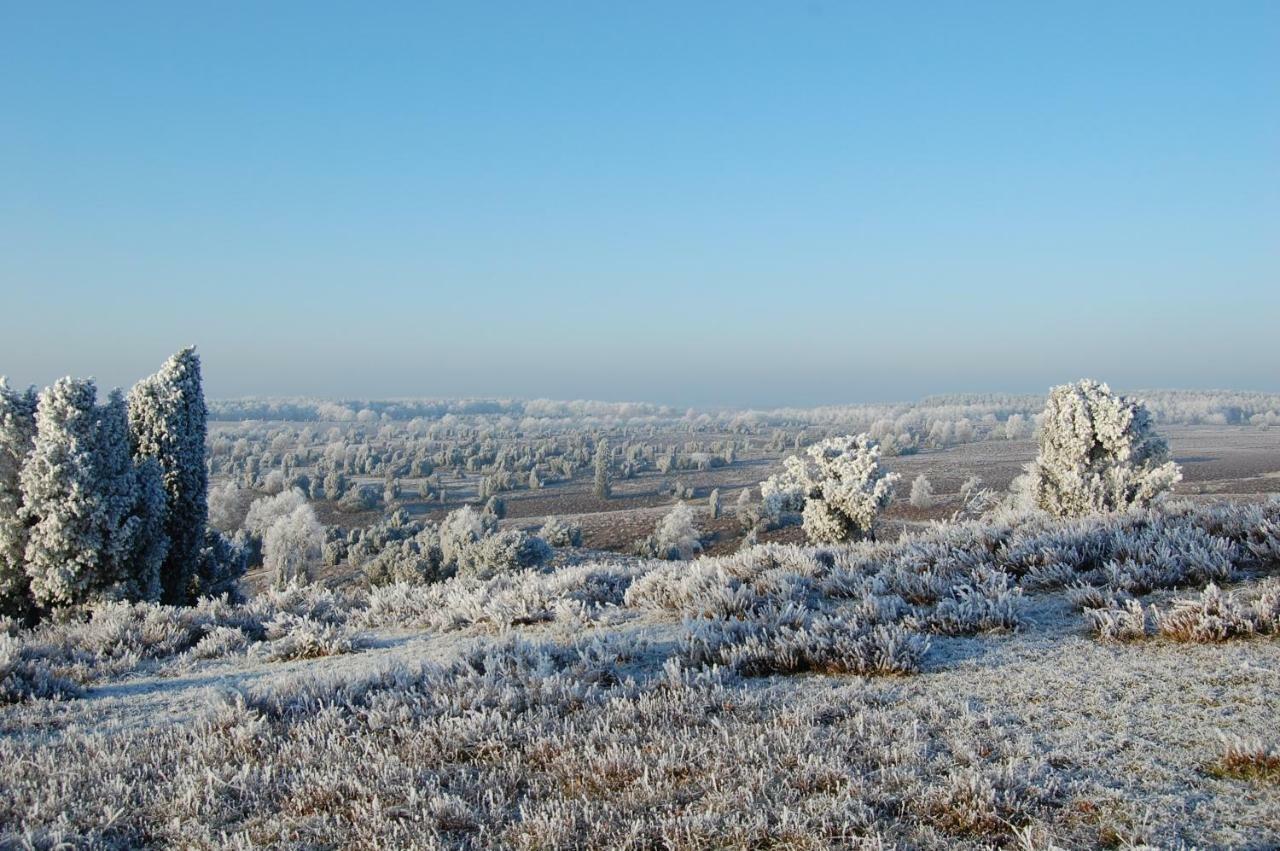 Ferienwohnung Heide View 비스핑엔 외부 사진